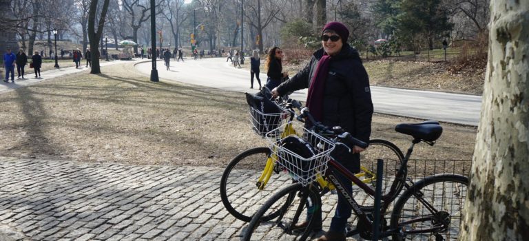 Central Park Sightseeing