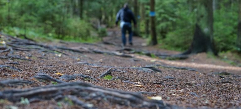 Santalahti nature path