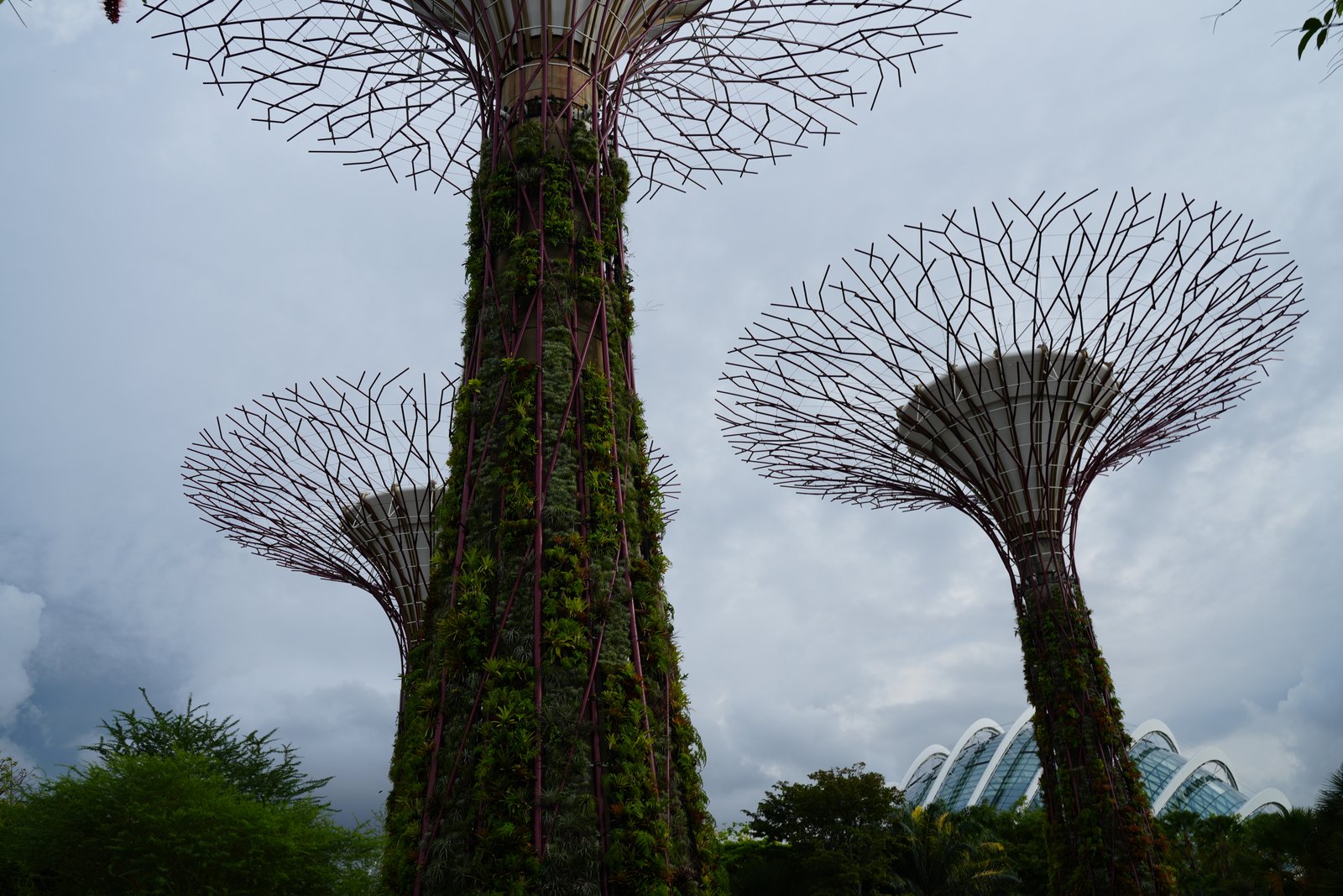 Die Supertrees, Bäume aus Stahl und Pflanzen