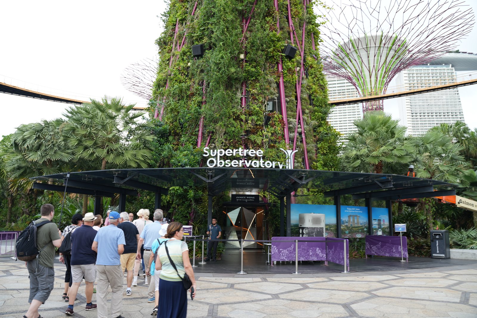 Hoch hinaus zum Supertree Observatory