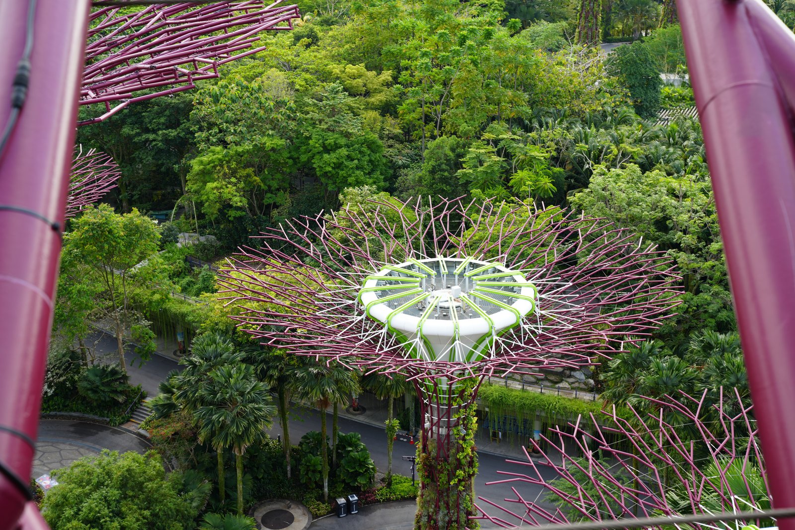 Blick von oben auf die Supertree Grove