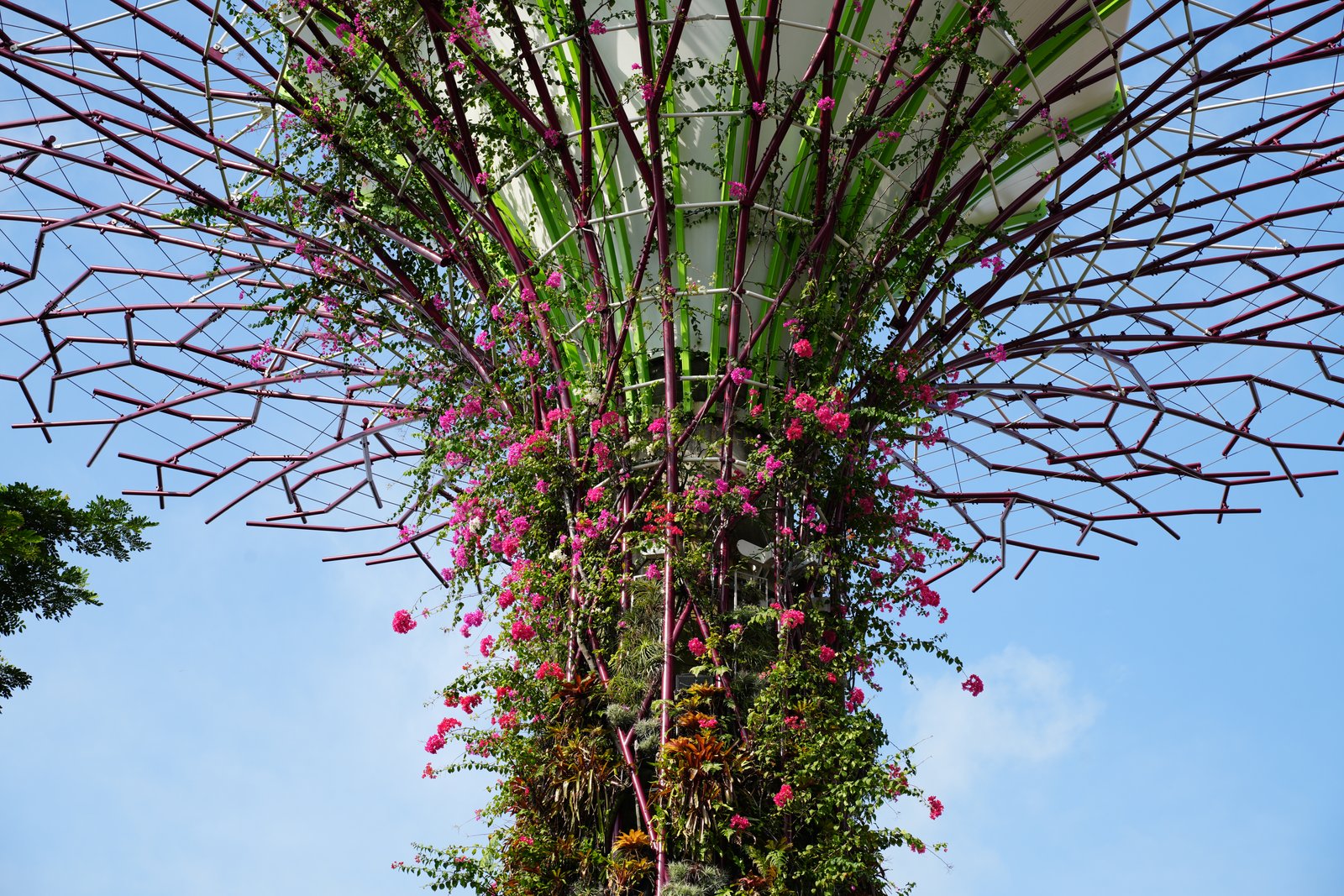 Bewachsener Supertree