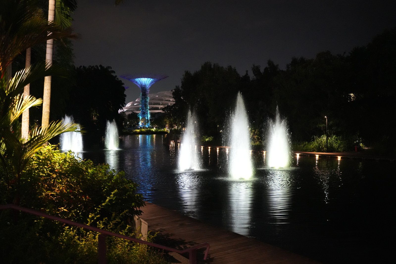 Die Supertrees bei Nacht
