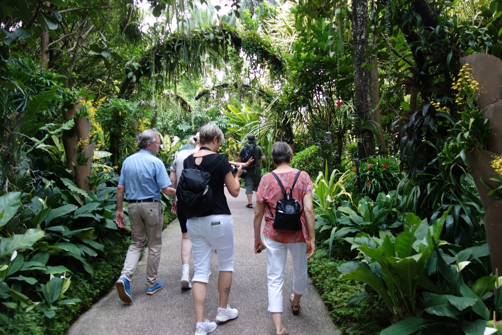 Durch den Botanischen Garten