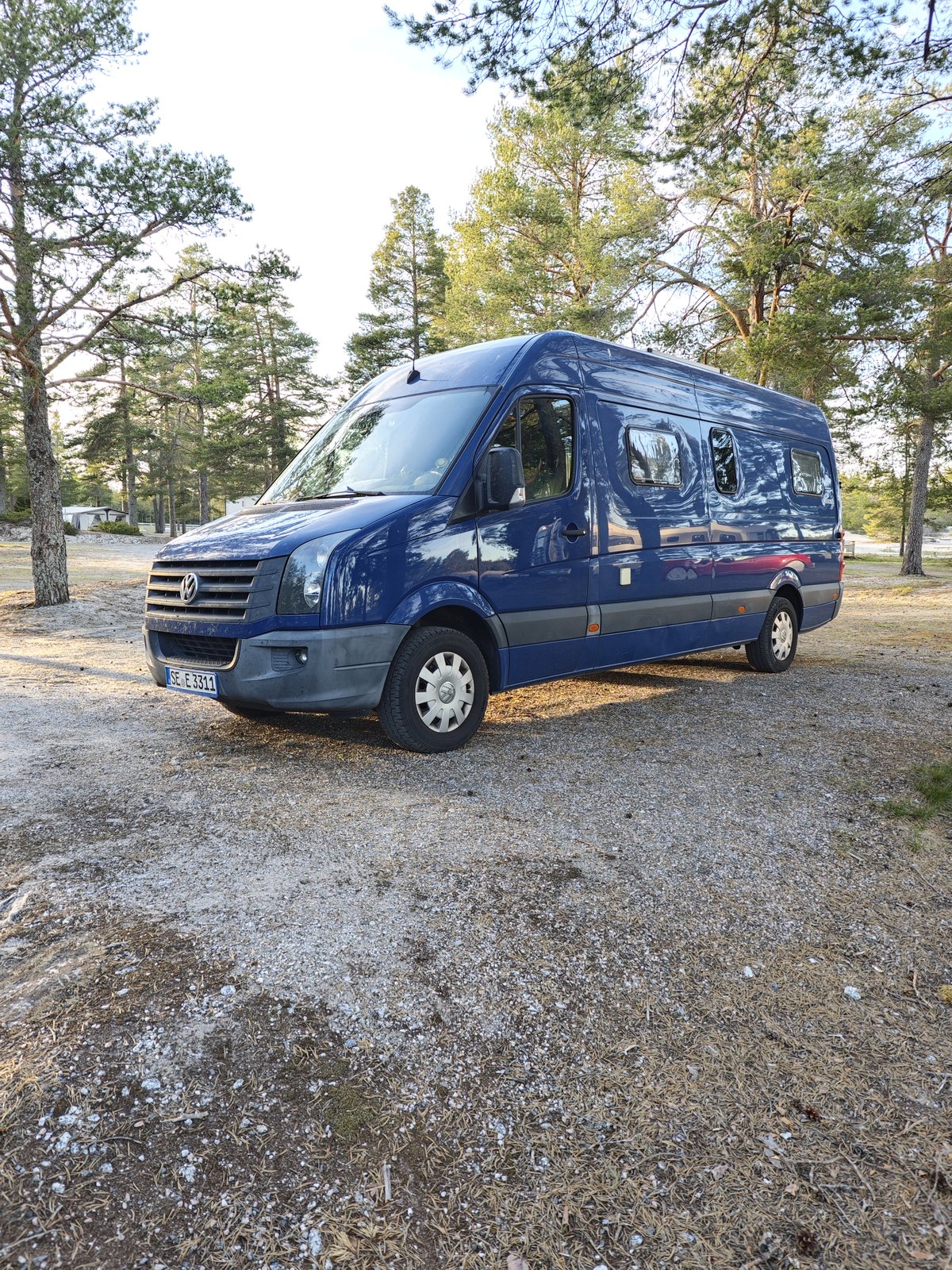 Balu auf dem Campingplatz Salusand