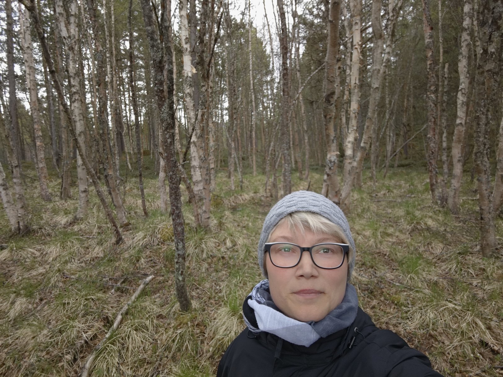 Mitten im Wald