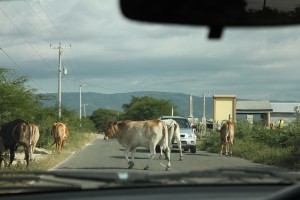 Gäste auf der Straße