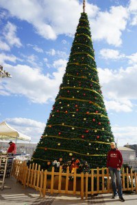 riesen Tannenbaum am Hafen