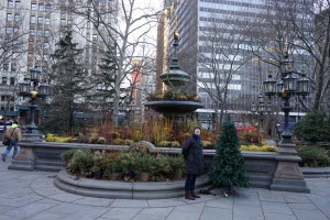 Bepflanzter Springbrunnen