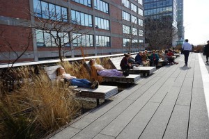 11 Sonnenanbeter High Line